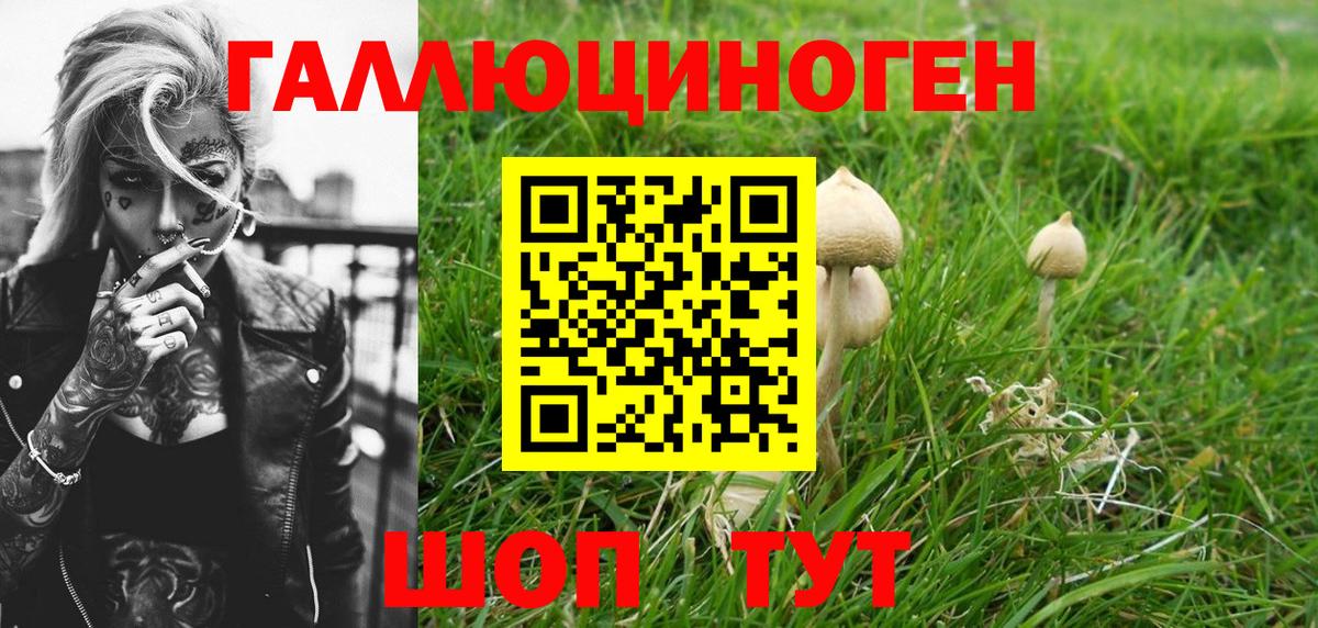 Галлюциногенные грибы GOLDEN TEACHER Краснокамск